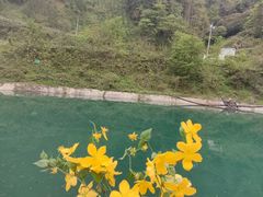-集渔·泰式海鲜火锅(彭州店)