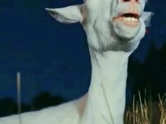 -悘济堂·中医养生·经络理疗(凤凰西街店)