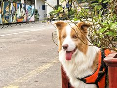 -广州市紫泥堂文化创意园景区