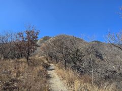 -阳台山自然风景区