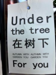 -逸丝风尚