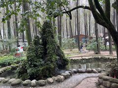 -林间山庄