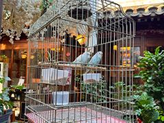 -束河人家(南锣鼓巷店)