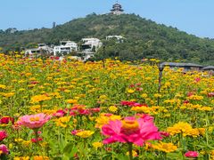 -太湖渔洋山