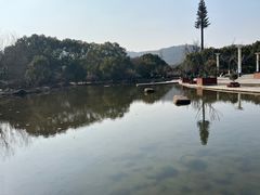-白马涧龙池景区