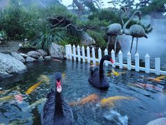 -罗红摄影艺术馆