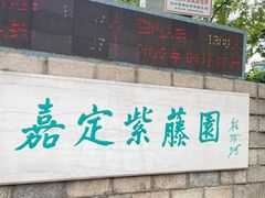 -嘉定紫藤园