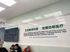 -中国农业大学动物医院