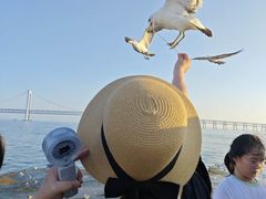 -星海广场