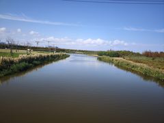 -春花秋色城市公园