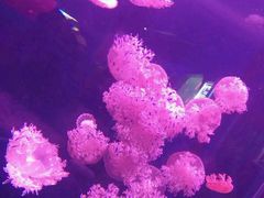 -多彩贵州城极地海洋世界