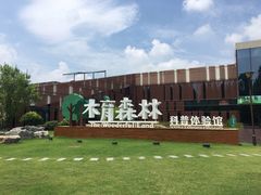 -黄海国家森林公园