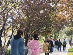 -元大都城垣遗址公园