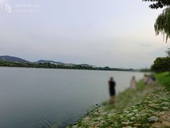 -羊山湖公园