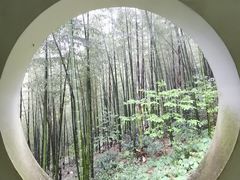 -仙霞关景区