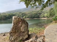 -紫霞湖公园