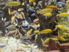 -太平洋海底世界