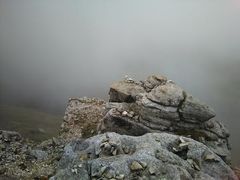 -维乐口腔医院(星海湾分院)