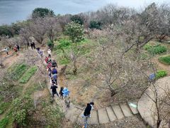 -广州市流溪河国家森林公园