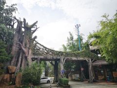 -观澜山水田园