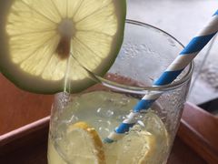 -柴犬高等学院·狗咖·柴犬售卖·宠物训练