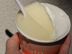 -Dip in Gelato(富民路店)