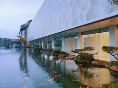 -罗红摄影艺术馆