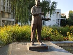 -南京师范大学仙林校区-内部地面停车场