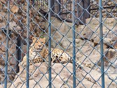 -大连森林动物园