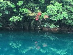 -白云源风景区