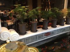 -红鼎坊·老成都火锅(新南门店)