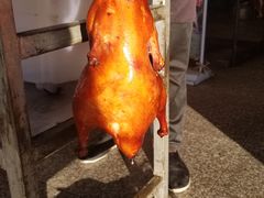 -宜良狗街老杨烤鸭店