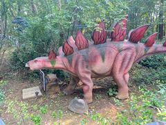 -济南野生动物世界