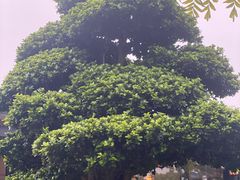 -茅草房·河畔园林火锅