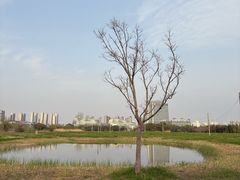 -尚贤河湿地