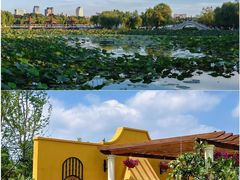 -长春市南湖公园