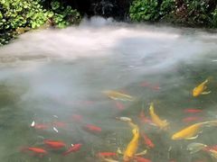-故乡缘·香格里拉山庄(冷竹路店)