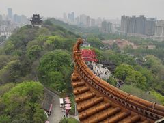 -黄鹤楼公园(黄鹤楼)