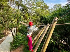 -芦仙山景区-飞越丛林探险乐园