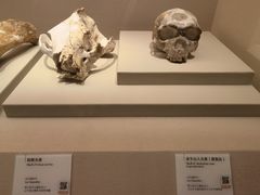 -辽宁省博物馆