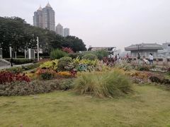 -广州塔