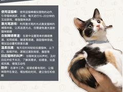 -翊宠yipet猫狗购宠庄园犬舍•猫舍