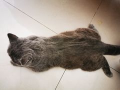 -平行世界·猫咖(首经贸店)