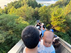 -千岛湖天屿景区