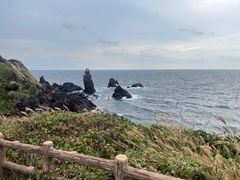 -涉地可支