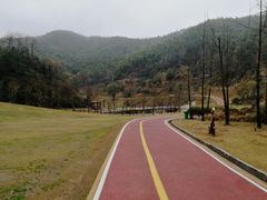 -梅岭月亮湾山体公园