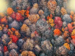 -罗红摄影艺术馆