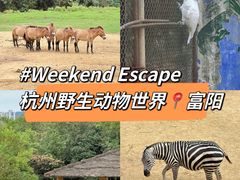 -杭州野生动物世界