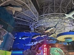 -烟台海昌鲸鲨海洋公园