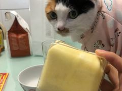 -7cake憩刻生日蛋糕·下午茶(无锡店)